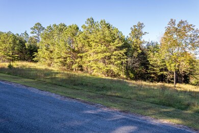 Roadside