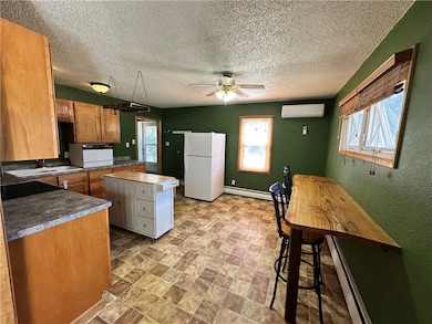 218 S Pine St, Pana, IL 62557 - photo 7