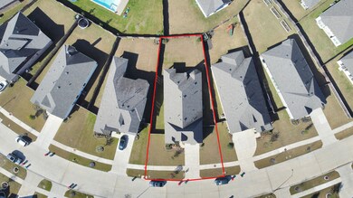 23618 Lively Ferry Ln, Richmond, TX 77469 - photo 5