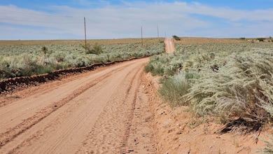 Vl Tierra Grande Lot 17 Block 16 unit 10, Socorro, NM 87801 - photo 5
