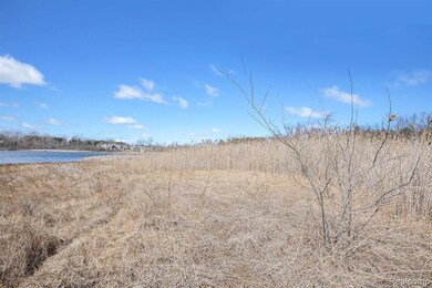 01 Butcher Rd, Lake Fenton, MI 48430 - photo 6