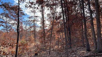 000 E Dade 4, Dadeville, MO 65635 - photo 5