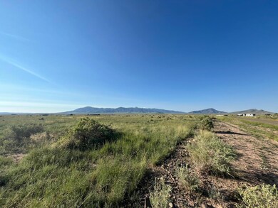 107 Gopher Gulch Loop, Carrizozo, NM 88301 - photo 5