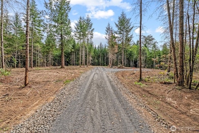 1792 Spirit Lake Hwy unit Lot 1, Castle Rock, WA 98611 - photo 3