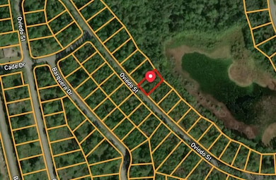 8926 Oviedo St, Sebring, FL 33872 - photo 3