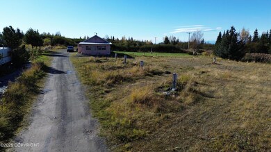 64820 Nikolaevsk Rd, Nikolaevsk, AK 99556 - photo 6