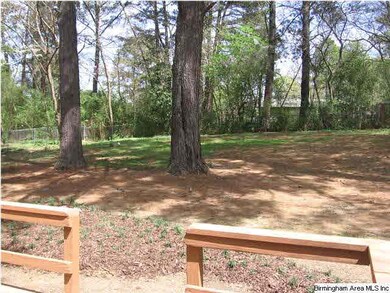 Another view of the backyard showing how large it 
