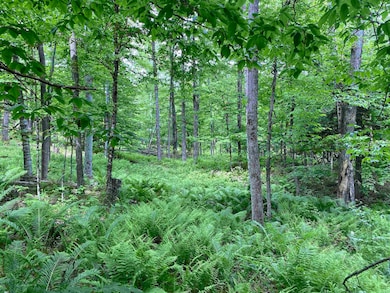 0 Simpson Brook Rd, Waterford, VT 05819 - photo 3