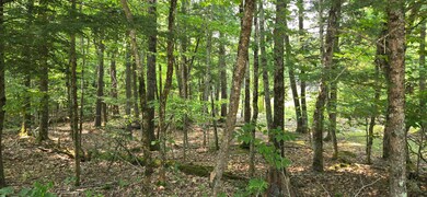 486 N High St, Bridgton, ME 04009 - photo 3