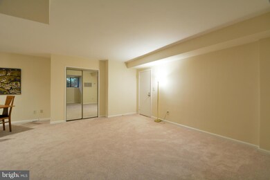 101 Skyhill Rd unit 101, Alexandria, VA 22314 - photo 4