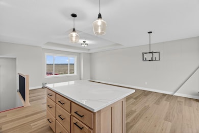 655 1st St SE, Plainview, MN 55964 - photo 7