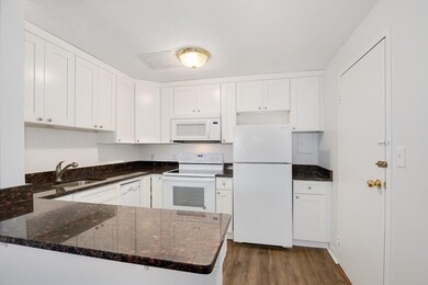 10 Riverside St unit 3, Watertown, MA 02472 - photo 2