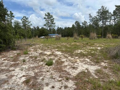 11110 SE 135th Ct, Dunnellon, FL 34431 - photo 5