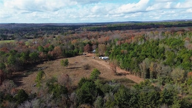 9943 Rough Branch Rd, Mulberry, AR 72947 - photo 2