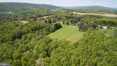 Lot 0 Tiley Rd, Ashland, PA 17921 - photo 6