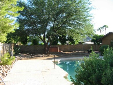 Pool and Yard