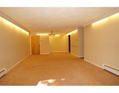 48 Bigelow Ave unit 26, Watertown, MA 02472 - photo 4