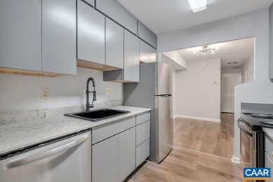 136 Green Turtle Ln unit 2, Charlottesville, VA 22901 - photo 2