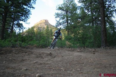 145 Wild Chives Ct, Durango, CO 81301 - photo 5