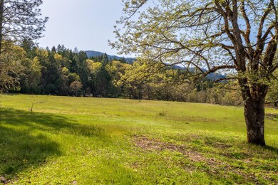 4158 Abegg Rd, Merlin, OR 97532 - photo 3