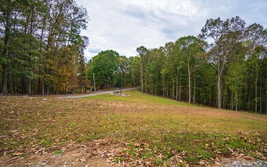 Additional View