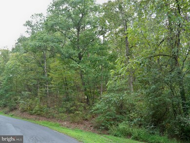 0 Three Run Rd unit 1000089147, Bunker Hill, WV 25413 - photo 6