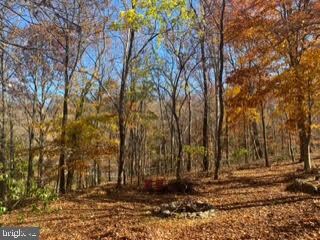 98 Barbara Dr, Front Royal, VA 22630 - photo 4