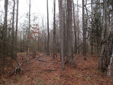 0 SW Baker Rd, Dalton, GA 30721 - photo 5