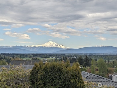 Beautiful Mt. Baker Views!