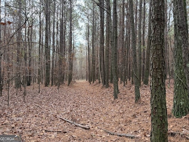 0 Branson Crossing Rd unit 2, Kingston, GA 30145 - photo 6