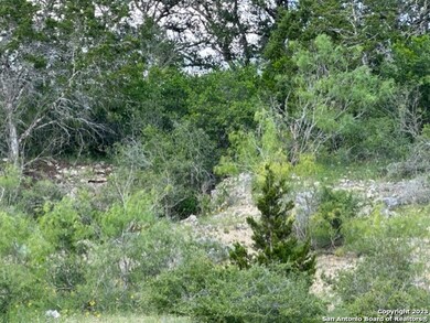 600 County Road 241, Hondo, TX 78861 - photo 2