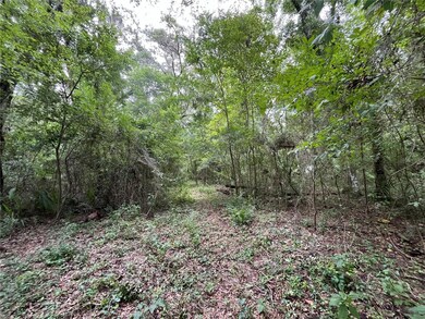 0 NW 65th St unit MFROK224268, Ocala, FL 34482 - photo 4