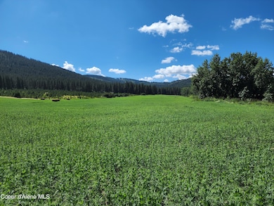 NKA Desmet, Desmet, ID 83824 - photo 2