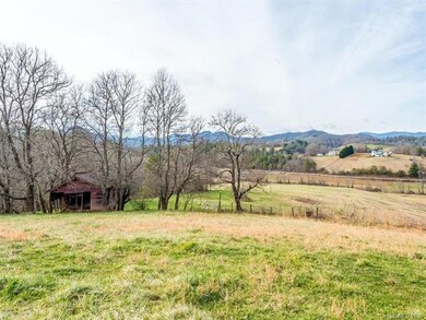 99999 King Dr, Leicester, NC 28748 - photo 3