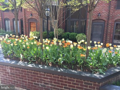 1015 Paper Mill Ct NW unit 1015, Washington, DC 20007 - photo 3