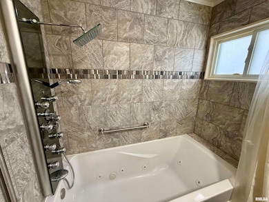 331 6th St, Colona, IL 61241 - photo 6