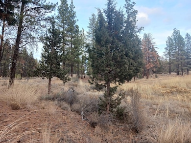0 Arrowhead Ln unit Lot 20, Chiloquin, OR 97639 - photo 6
