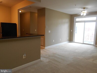 6161 Willow Place unit 308, Bealeton, VA 22712 - photo 4