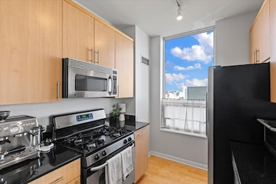 The Grand Orleans unit 1206, Chicago, IL 60654 - photo 7