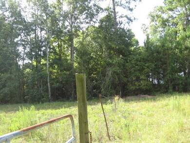 00 Old Savannah Road & Us 280, Ailey, GA 30410 - photo 4
