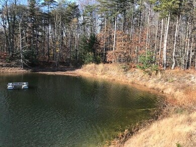 pond Z