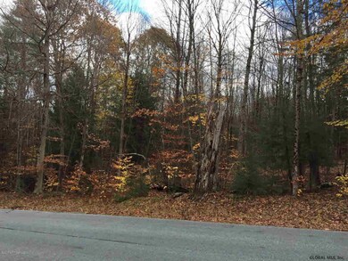 0 Dean Mountain Rd, Hadley, NY 12835 - photo 2