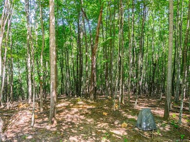 1306 Double Knob Dr unit 112, Arden, NC 28704 - photo 2