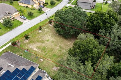 30134 Bretton Loop, Mount Dora, FL 32757 - photo 4