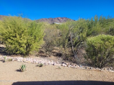 Backyard views