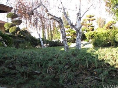 Beautiful Mature Landscaping