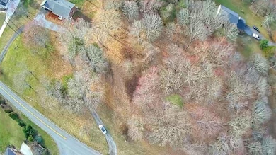 10.08ac Cottontown Rd, Forest, VA 24551 - photo 6