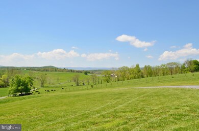 1870 Swover Creek Rd, Edinburg, VA 22824 - photo 4