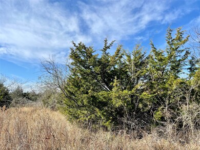 10AC Cr 2130, Corsicana, TX 75109 - photo 4