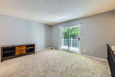 New Carpeting Throughout